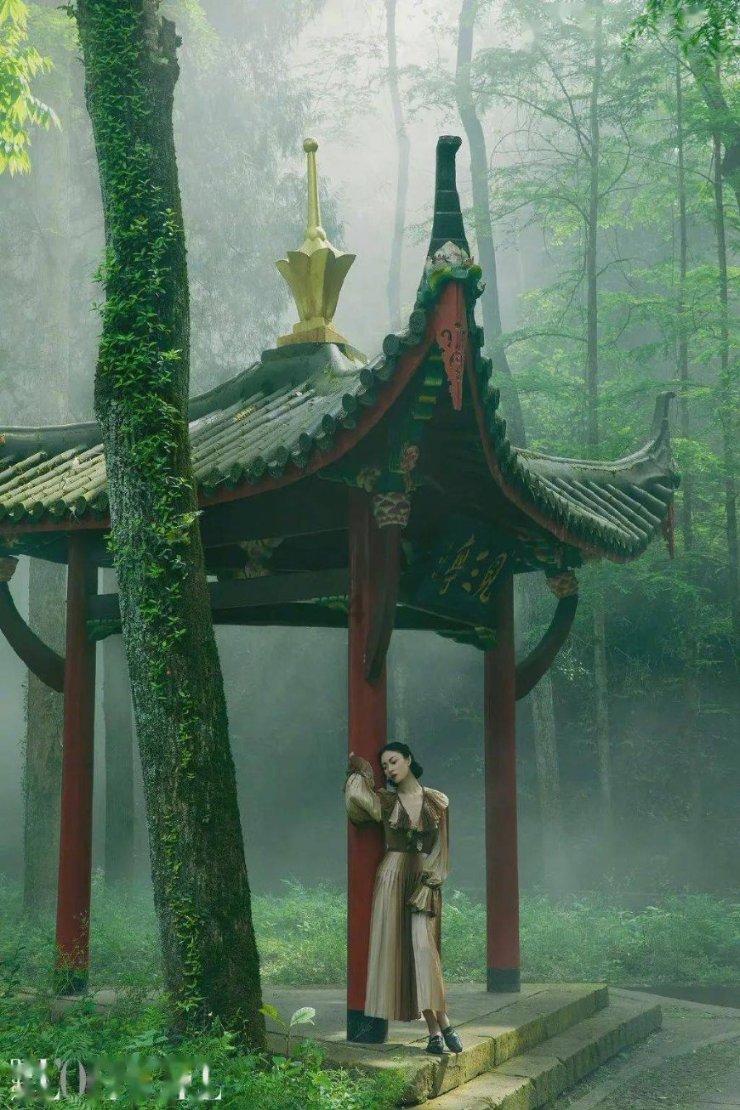 乘中欧班列东风 与世界品牌同行
