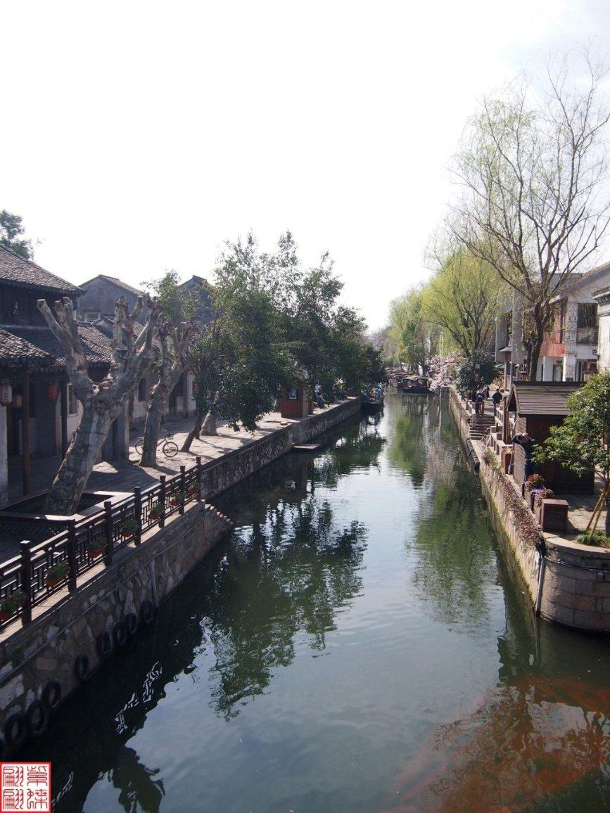 呆萌动物园